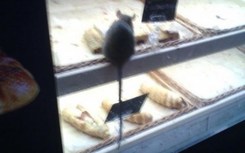 В Запорожье обиженный сотрудник опубликовал фото крысы на прилавке с круассанами