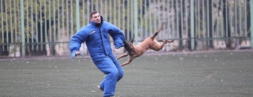 В Мариуполе соревновались собаки силовиков (ФОТО)