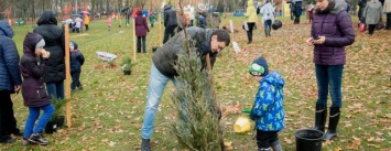 На выходных волонтеры засадили Березовую рощу деревьями и декоративными кустарниками