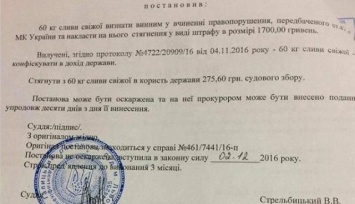 Львовский судья обвинил 60 кило слив в нарушении закона и оштрафовал фрукты