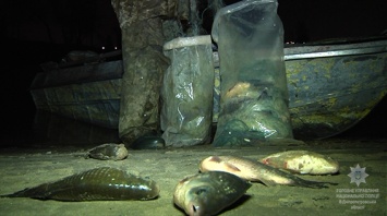 На Днепропетровщине водная полиция задержала браконьера