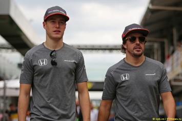 Гонщики McLaren поддержали решение Pirelli