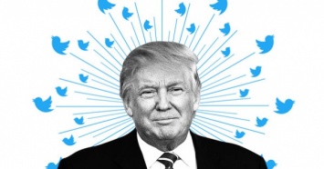 Больше 50% подписчиков Трампа в Twitter - боты