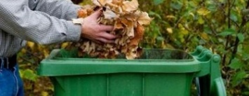 Краматорчане так и не научились не выбрасывать листья в мусорные контейнеры