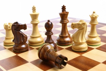 Логотип чемпионата мира по шахматам озадачил многих гроссмейстеров