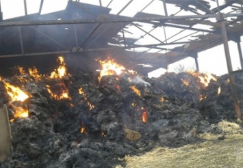 Пьяный житель Днепропетровщины сжег 400 тонн соломы
