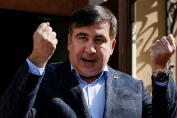 СМИ: Саакашвили получил голландскую визу