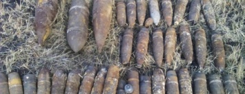 На Криворожье нашли несколько десятков боеприпасов минувшей войны (ФОТО)