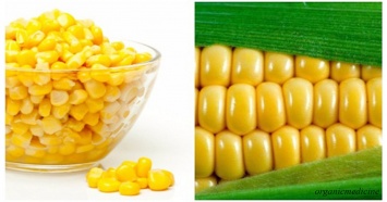 6 убедительных причин больше никогда не есть кукурузу