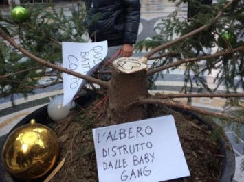 Рождественская елка в известном торговом центре Неаполя простояла сутки, ее украли
