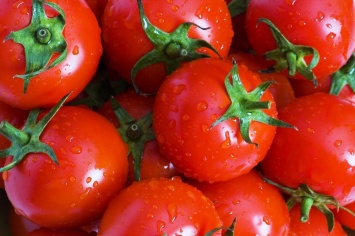 Ученые выяснили, что томаты и фрукты хорошо влияю на легкие