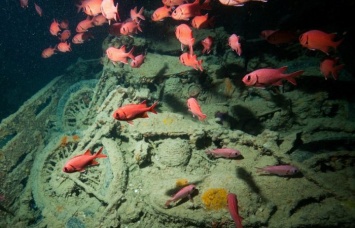 Подводное кладбище мотоциклов «Тистлегорм» - настоящая Мекка для ныряльщиков