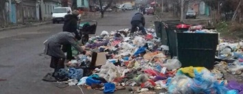Мусорный коллапс: жители Николаева возмутились горами мусора, который не вывозят коммунальщики