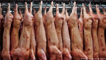 Почему ЕС выставит России счет за свинину на 1,4 млрд евро