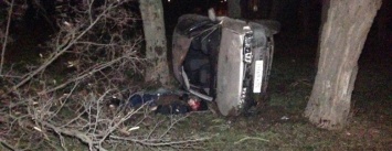 Страшное ДТП в Николаеве: 2 парня и 2 девушки на Мазде влетели в дерево - водитель умер на месте аварии, - ФОТО