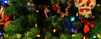 Новогодняя елка в Краматорске: что по чем и во сколько выльется наряд лесной красавицы?