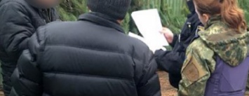 В Новый год без нарушений: патрульные Краматорска и Славянска проверяют законность продажи елок