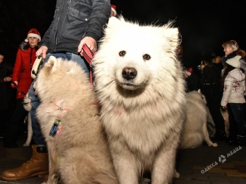 В Одессе прошел марш собак-самоедов (фоторепортаж)