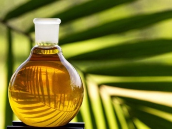 ЕС стремится ограничить поставки пальмового масла