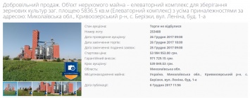 На Николаевщине на продажу выставили элеватор со стартовой ценой 54 миллиона гривен