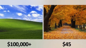 $100 тысяч vs $45. Почему за культовые обои для Windows XP платят такие разные гонорары