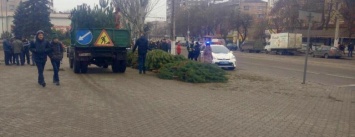 В центре Кальмиусского района разгоняли нелегальных продавцов сосен (ФОТО)