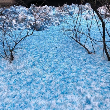 Появились фото радикально синего снега, который удивил жителей Санкт-Петербурга