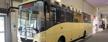 Автобус «Тюльпан» от Черниговского автозавода будут покупать в Европе