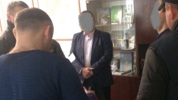 Чиновник на Киевщине требовал взятку в 100 тысяч долларов