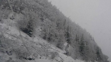 На Закарпатье из-за сильного снегопада обесточены 19 сел
