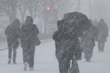 Во Львовской области прошел сильный снегопад: без электричества остались 229 населенных пунктов