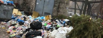 В Днепре большая мусорная куча граничит с детским садиком
