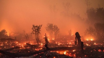 Выяснилось, что человечество пережило «огненный апокалипсис»