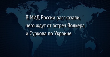 В МИД России рассказали, чего ждут от встреч Волкера и Суркова по Украине