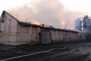 В Николаевской области произошел масштабный пожар