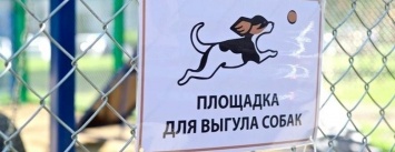 В Киеве обустроили 35 площадок для выгула домашних животных