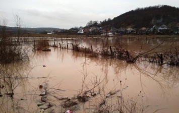 На Закарпатье пять сел оказались в воде и грязи из-за прорыва дамбы