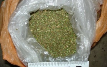 У жителя Олешек нашли пакет марихуаны