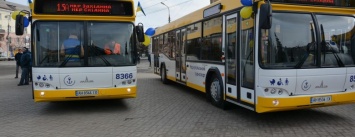 В Мариуполе запустят новый автобусный маршрут из МКР Черемушки