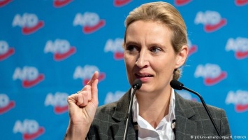 Немецкая правопопулистская партия АдГ организует свой новостной пул