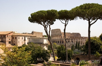 Alitalia позволила бронировать билеты с бесплатным стоповером в Риме при вылете из Украины