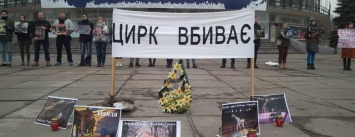 "Животные - не клоуны": в Кривом Роге провели акцию в защиту "братьев наших меньших" (ФОТО)