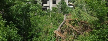 На сайте петиций предлагают очистить трущобы в Каменском