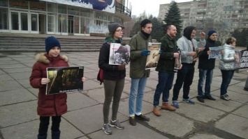 Животные - не клоуны: жители Днепропетровщины протестуют против цирков