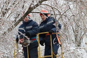 Из-за обледеневших деревьев в Бердянске происходят аварии