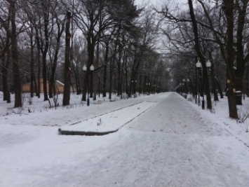 Погода устроила каток в центральном парке (фото)