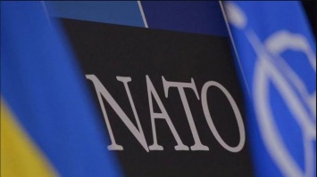 Стандарты НАТО: названа дата введения