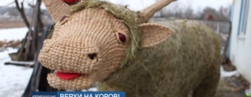 На Масленицу в Кременчуг привезут соломенную корову, приносящую удачу и достаток (ВИДЕО)