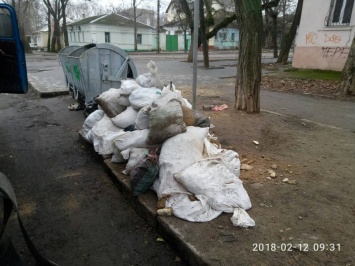 «Карс Клининг» ежедневно ликвидирует мусорные свалки в Николаеве
