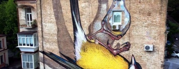 Птицы на стенах Киева: ТОП-5 муралов с изображением пернатых